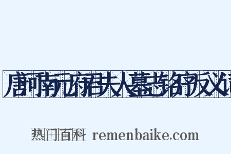 唐河南元府君夫人墓志铭序反义词是什么意思的图片